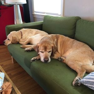 Meet your Posher, Jamis